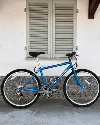 Mtb Diamond Back vintage anni ‘90