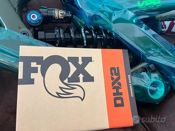 Fox dhx2