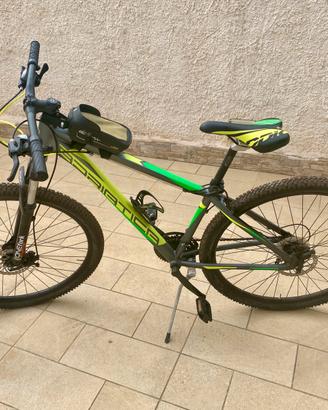 Bicicletta mountain bike