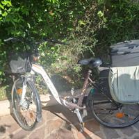Bici elettrica