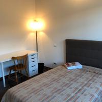 Posto letto in stanza singola per studentessa
