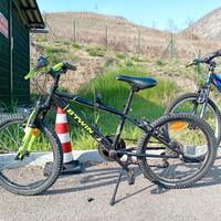 biciclette vendibili anche separatamente 