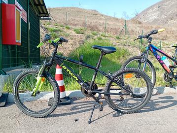 biciclette vendibili anche separatamente 