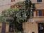 Immagine 14