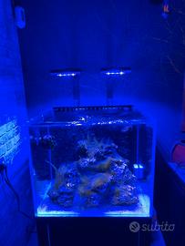 Acquario VIV Marine + mobile supporto