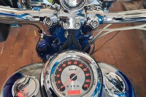 harley davidson Springer cvo