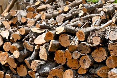 Legna di ulivo da ardere a domicilio - Ragusa