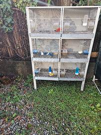 gabbioni per canarini 