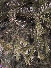 Pino 1.80 cm per legna da ardere