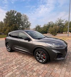 Ford kuga fhev full hybrid