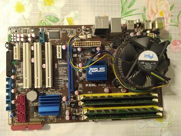Scheda madre Asus P5QL PRO