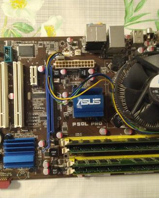 Scheda madre Asus P5QL PRO