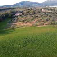 Terreno edificabile zona Baratz e Porto Ferro