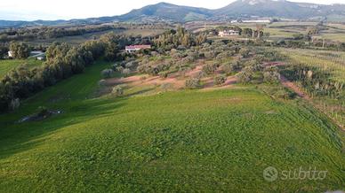 Terreno edificabile zona Baratz e Porto Ferro
