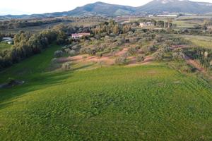 Terreno edificabile zona Baratz e Porto Ferro