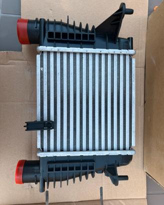 Intercooler Renault