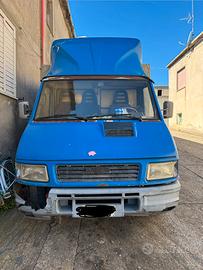 Iveco Dayli