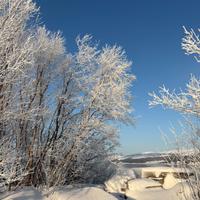Babysitter-badante- in Liguria