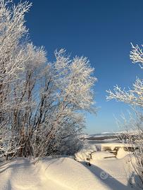 Babysitter-badante- in Liguria