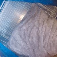 Casetta per animali di piccola taglia +recinzione+