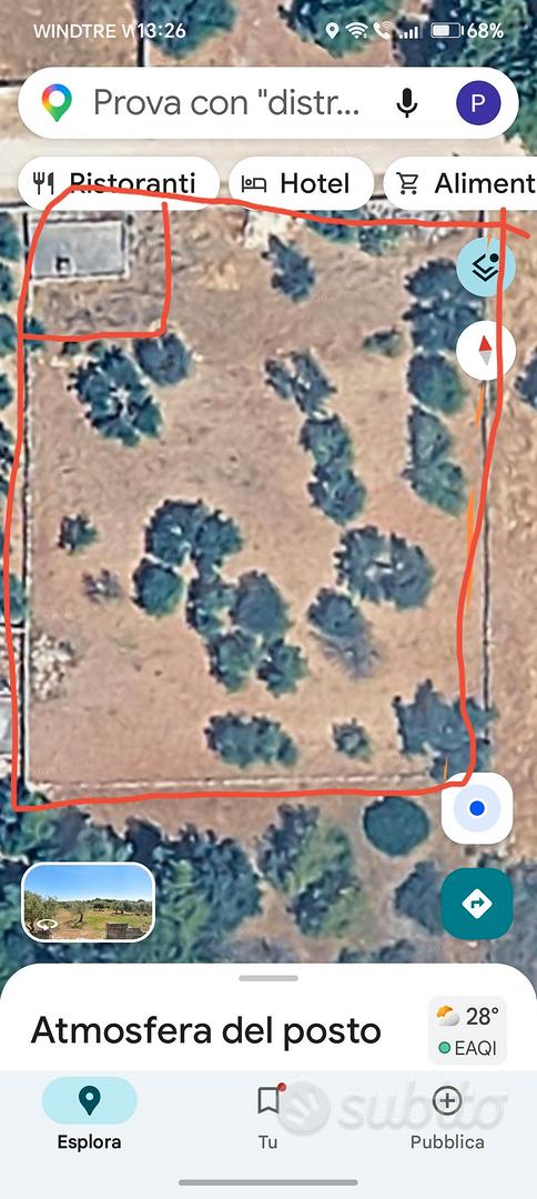 terreno con 25 alberi di ulivo - Vista 2