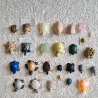 Collezione tartarughe Pietre dure