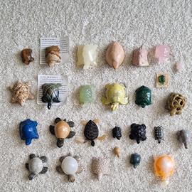 Collezione tartarughe Pietre dure