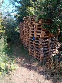 Bancali 