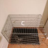 kennel per cani