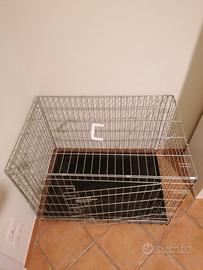 kennel per cani