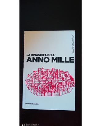 La rinascita dell'anno Mille 