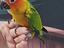 Immagine 1