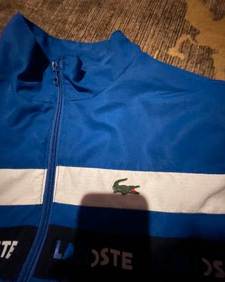 Felpa lacoste azzura bambino 10/11 anni