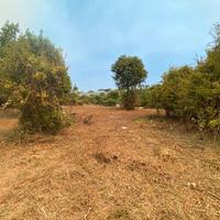 Terreno panoramico via Giovanni XXIII