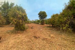 Terreno panoramico via Giovanni XXIII