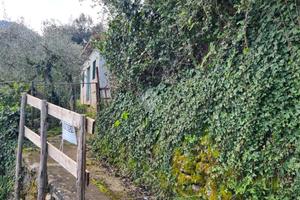 TER. AGRICOLO A SEGNI
