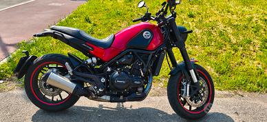 Benelli Leoncino 500