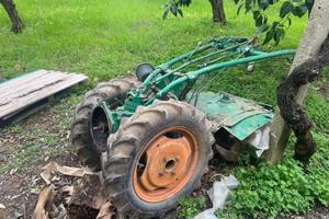 cambio piu fresa  con carrello goldoni 18cv