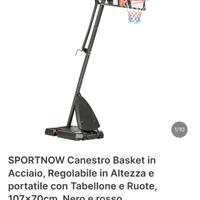 basket canestro 