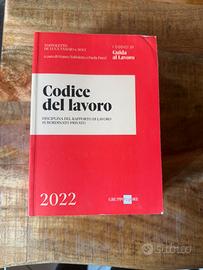 Codice del lavoro 2022