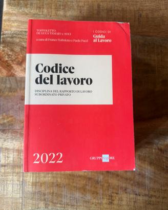 Codice del lavoro 2022