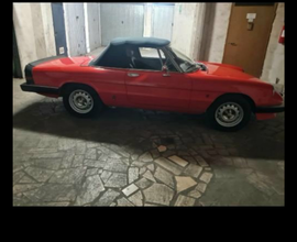 Alfa spider duetto
