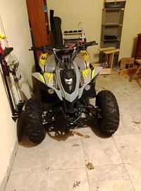 Altro Altro modello - 2025