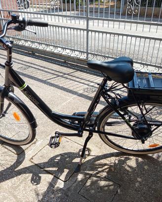 Bicicletta elettrica