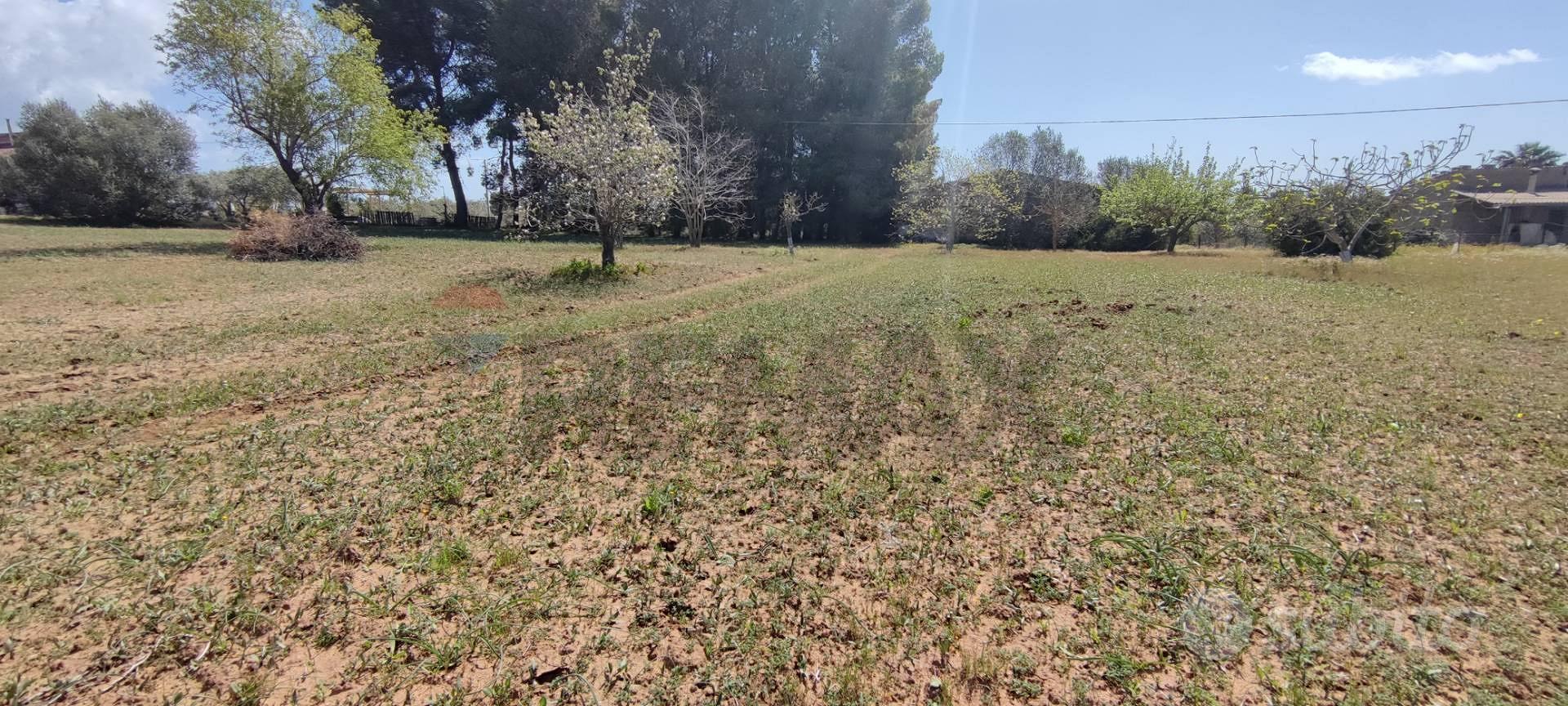 Terreno - Caltagirone - Vista 3