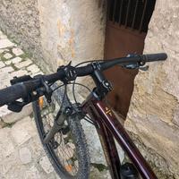 MTB Bergamont Revox 7, 29" taglia 54/M