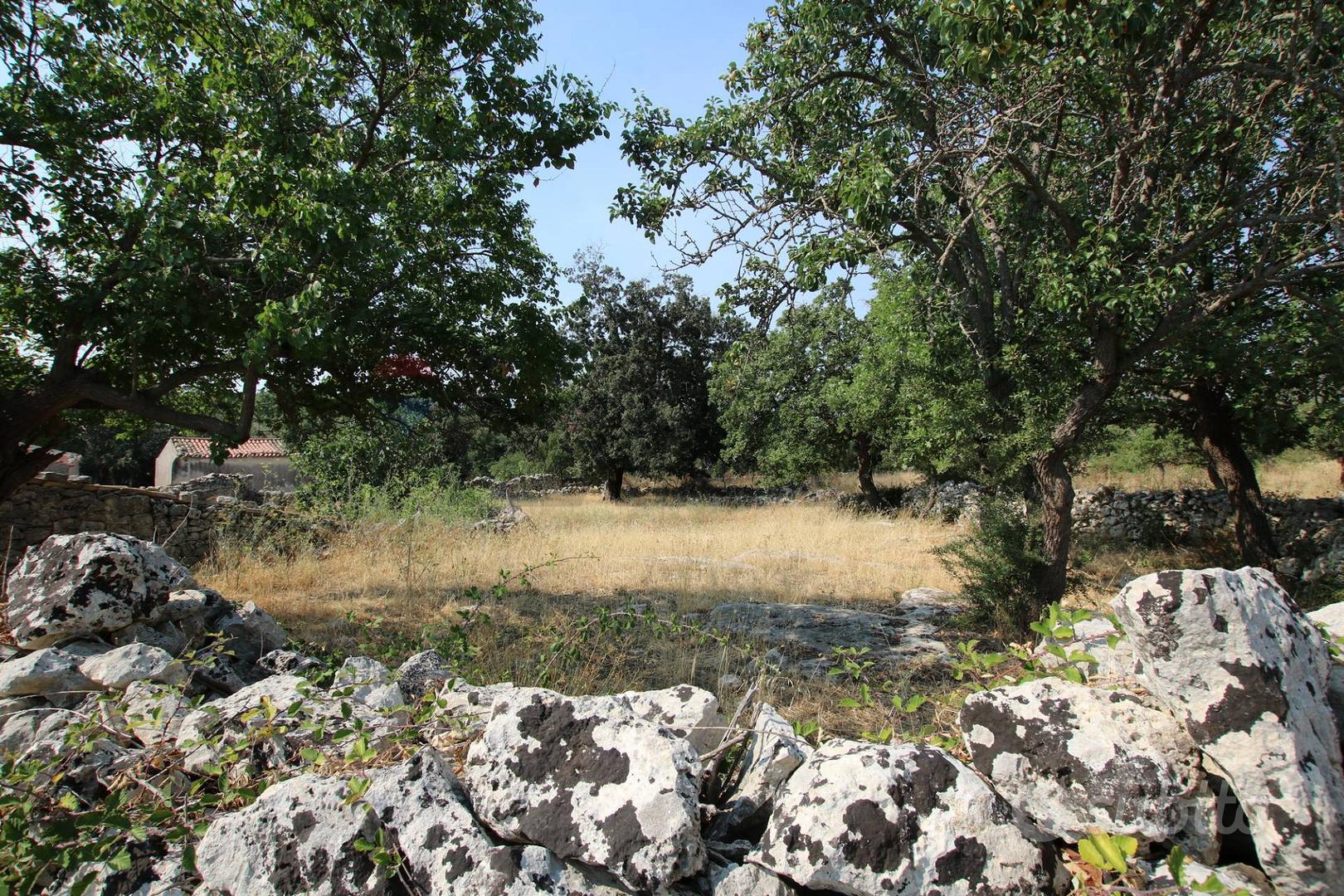 Cascina/Casale - Noto - Vista 2