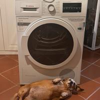Asciugatrice Bosch Serie6 – 7kg