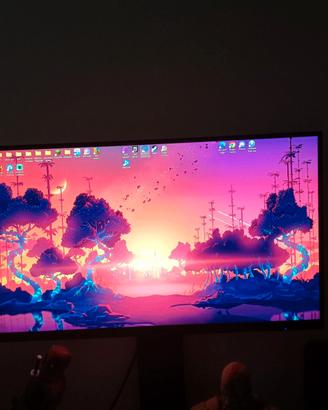 Monitor samsung 27 pollici LS27R75