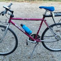 Bicicletta Citybike